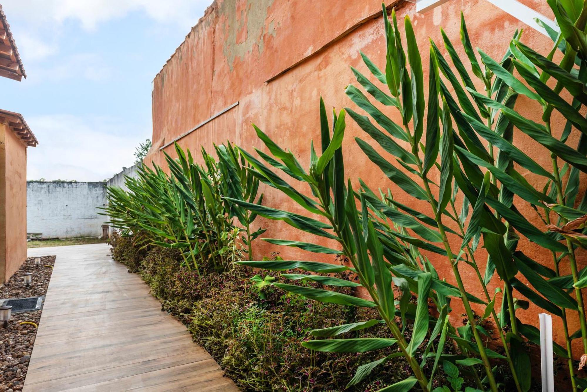 Casa Da Cris Apartment เซาเปาโล ภายนอก รูปภาพ
